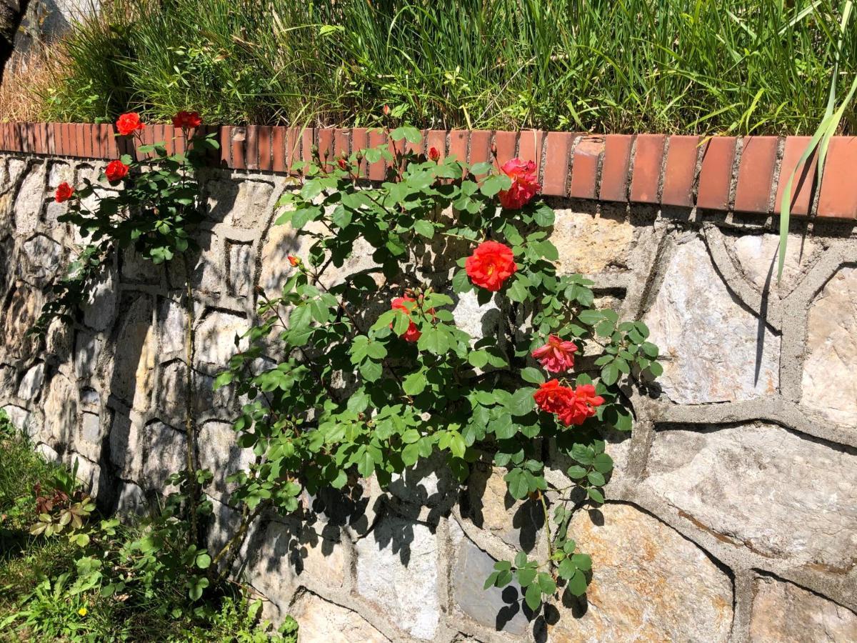 La Collina Di Albiro Affittacamere 아르콜라 외부 사진