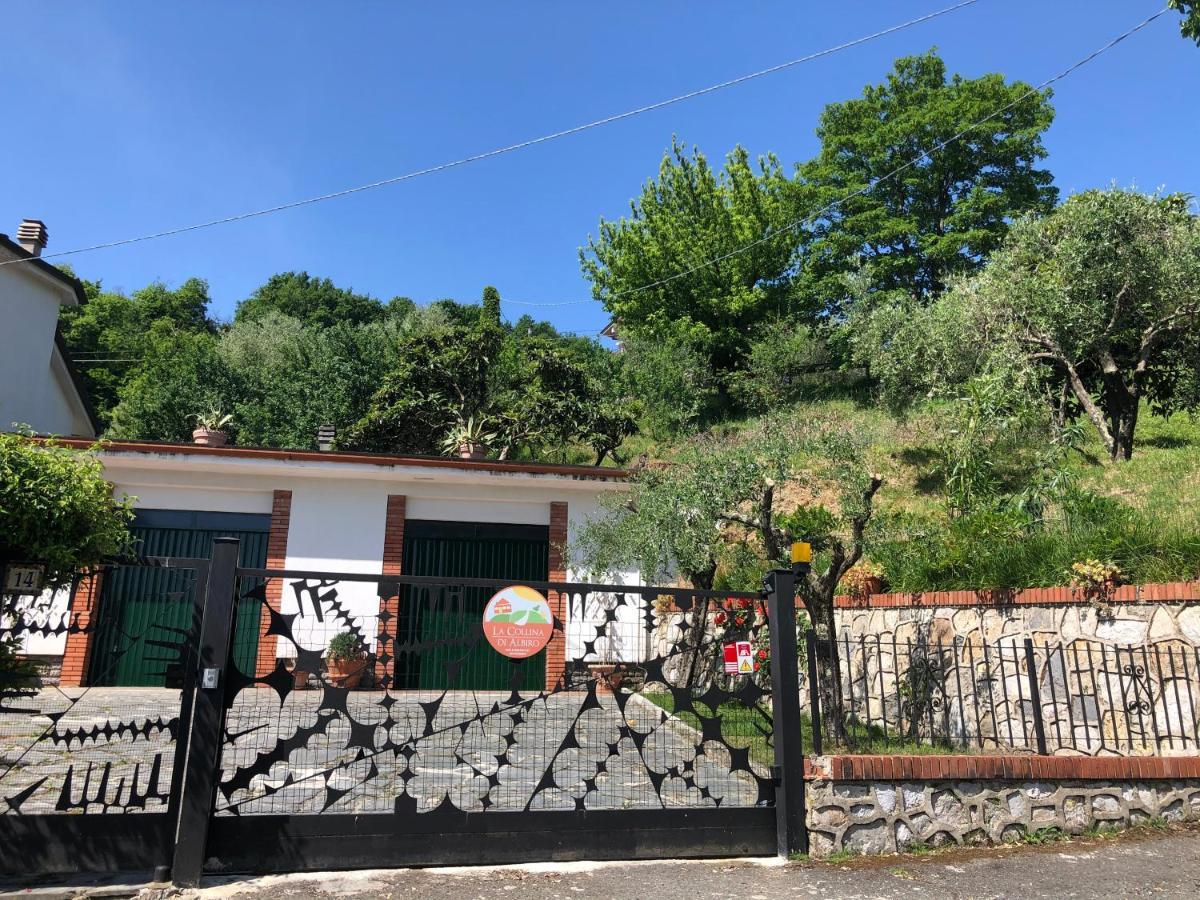 La Collina Di Albiro Affittacamere 아르콜라 외부 사진