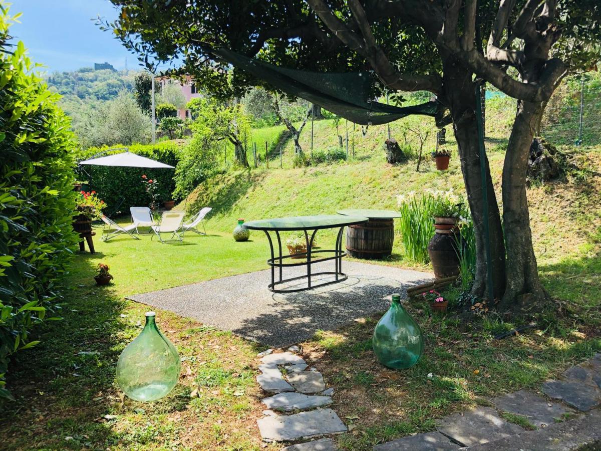 La Collina Di Albiro Affittacamere 아르콜라 외부 사진