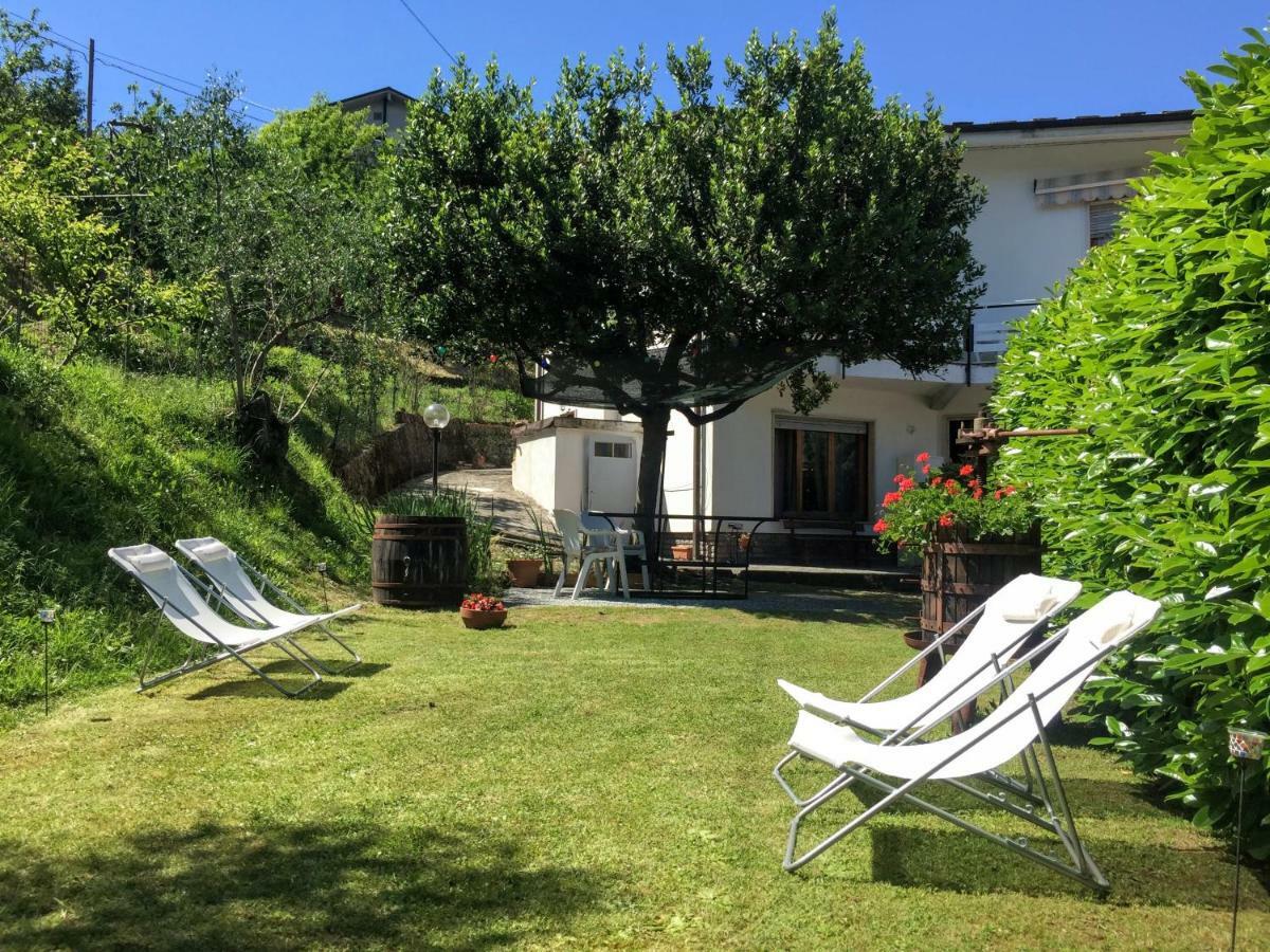 La Collina Di Albiro Affittacamere 아르콜라 외부 사진